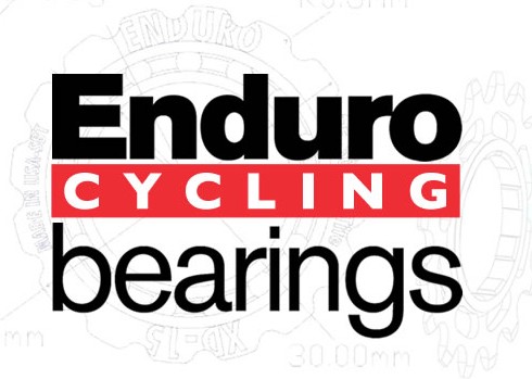 Enduro Bearings 6808 LLB 40 x 52 x 7