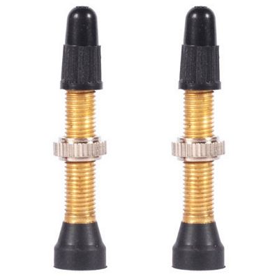 WTB TCS Presta Valve Brass - Pair