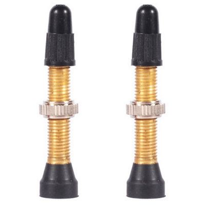 WTB TCS Presta Valve Brass - Pair WTB TCS Presta Valve Brass - Pair