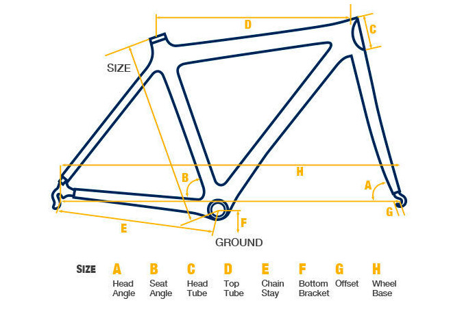 Veer Cycle - Split Belt