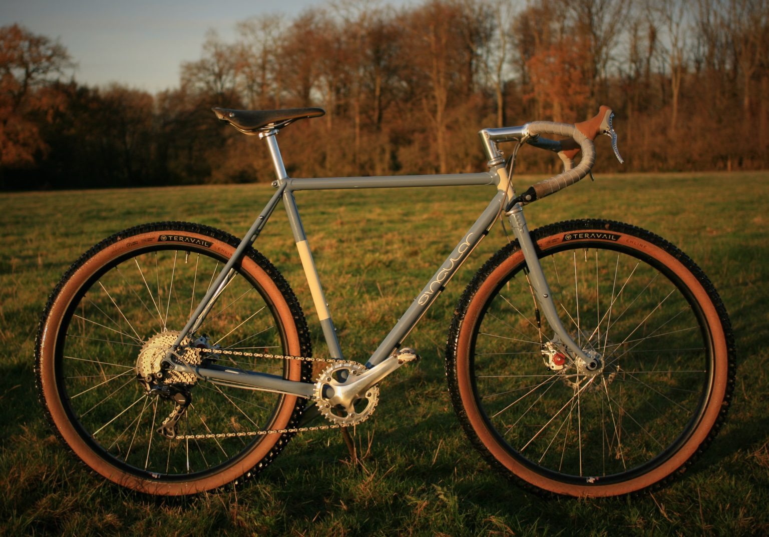 Singular Peregrine Mk3 Frameset