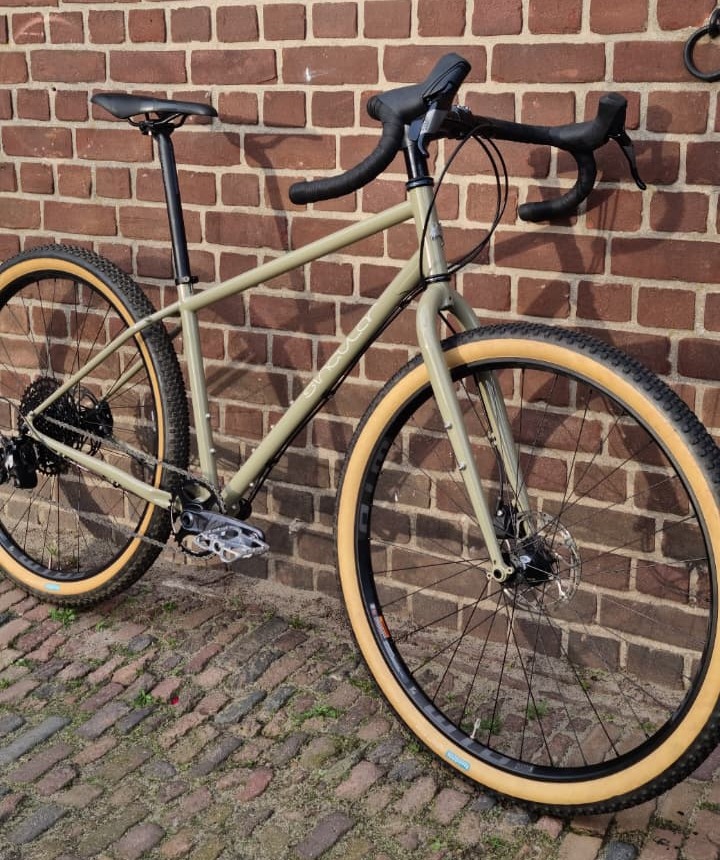 Singular Gryphon - Medium