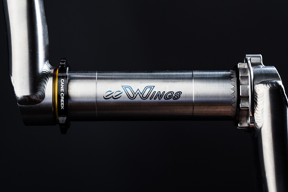 Cane Creek ee Wings Cranks - Brushed Titanium